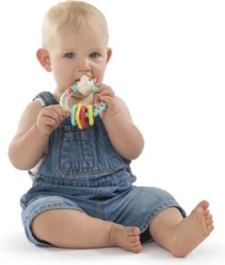 Sophie De Giraf - Rammelaar - Multi Textuur - Op Wit Rode Hangkaart -Bekend Babyproducten Winkel 1019x1200 2