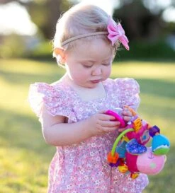 Playgro Clip Clop Rammelaar - Roze - Activiteitenspeeltje - Kraamkado -Bekend Babyproducten Winkel 1086x1200 1