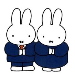 Nijntje Kleine Pluis -Bekend Babyproducten Winkel 1153x1200 3