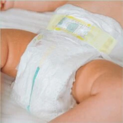 Pampers® Pampers Premium Protection Luiers - Maat 6 (13+ Kg) - 120 Stuks - Multi-Pack -Bekend Babyproducten Winkel 1198x1200 39