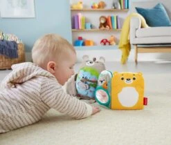 Fisher Price Fisher-Price Knuffelbaar Activiteiten Boekje Baby - Baby Speelgoed -Bekend Babyproducten Winkel 1200x1021 2