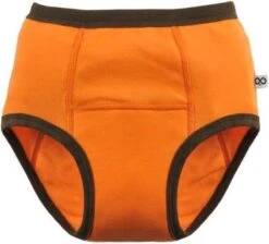 Zoocchini Oefenbroekjes 2-3 Jaar Boy Safari -Bekend Babyproducten Winkel 1200x1086 3