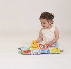 Taf Toys Activity Center Voor Aan De Box, Campingbed Of Los Te Gebruiken, Met Muziek En Licht – 0 Tot 24 Maanden -Bekend Babyproducten Winkel 1200x1160 1