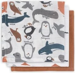 Jollein Baby Hydrofiel Washandje Polar - 3 Stuks -Bekend Babyproducten Winkel 1200x1161 6