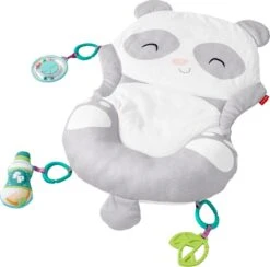 Fisher Price Allesinéén Pandaspeelmat -Bekend Babyproducten Winkel 1200x1184 3