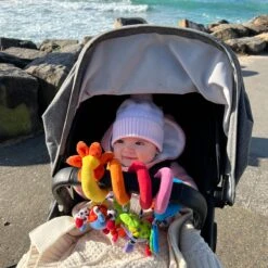 Playgro Boxspiraal Amazing Garden Twirly Whirly - Kinderwagen Speeltje - Activiteitenspiraal -Bekend Babyproducten Winkel 1200x1200 315