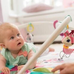 Tiny Love Deluxe Babygym - Princess Tales - Roze -Bekend Babyproducten Winkel 1200x1200 359