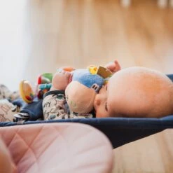 Playgro Clip Clop Rammelaar - Blauw - Activiteitenspeeltje - Kraamkado -Bekend Babyproducten Winkel 1200x1200 496