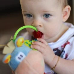 Playgro Clip Clop Rammelaar - Blauw - Activiteitenspeeltje - Kraamkado -Bekend Babyproducten Winkel 1200x1200 498