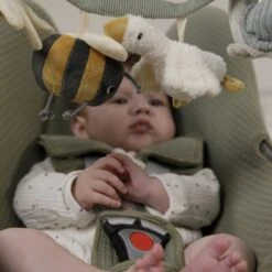 Wagenspanner Little Goose - Little Dutch -Bekend Babyproducten Winkel 1200x1200 883