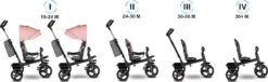 Lionelo Haari - Driewieler - Drankhouder - 2in1 - Tot 36+ -Bekend Babyproducten Winkel 1200x368