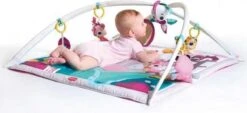 Tiny Love Deluxe Babygym - Princess Tales - Roze -Bekend Babyproducten Winkel 1200x549 3