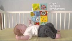 Taf Toys Activity Center Voor Aan De Box, Campingbed Of Los Te Gebruiken, Met Muziek En Licht – 0 Tot 24 Maanden -Bekend Babyproducten Winkel 1200x682