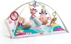 Tiny Love Deluxe Babygym - Princess Tales - Roze -Bekend Babyproducten Winkel 1200x759