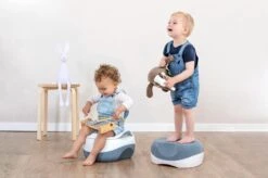 Safety 1st 3 In 1 Potje - Potje, Zitverkleiner, Opstapje - Grijs -Bekend Babyproducten Winkel 1200x799 59