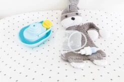 Neuszuiger Voor Baby - Nûby -Bekend Babyproducten Winkel 1200x800 281