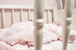 Meyco Clouds/Dots/Feathers Starterset - 9-pack - Hydrofiel - Pink -Bekend Babyproducten Winkel 1200x800 347