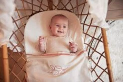 Jollein Baby Hoeslaken Ledikant Jersey 60x120cm - Ivory - 2 Stuks -Bekend Babyproducten Winkel 1200x800 390