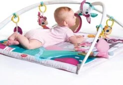 Tiny Love Deluxe Babygym - Princess Tales - Roze -Bekend Babyproducten Winkel 1200x831 2