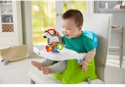 Fisher Price - Activity Zebra - Rammelaar - Speeltje En Bijtring - Grijpspeelgoed -Bekend Babyproducten Winkel 1200x835