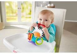 Fisher Price - Activity Zebra - Rammelaar - Speeltje En Bijtring - Grijpspeelgoed -Bekend Babyproducten Winkel 1200x842 2