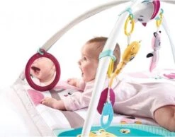 Tiny Love Deluxe Babygym - Princess Tales - Roze -Bekend Babyproducten Winkel 1200x942 1
