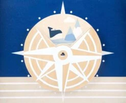 Baby Walvis Loopwagen - Houten Speelgoed Vanaf 1 Jaar 21 Baby Walvis Loopwagen - Houten Speelgoed Vanaf 1 Jaar -Bekend Babyproducten Winkel 1200x976