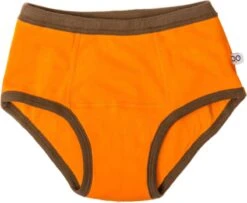 Zoocchini Oefenbroekjes 2-3 Jaar Boy Safari -Bekend Babyproducten Winkel 1200x985 2