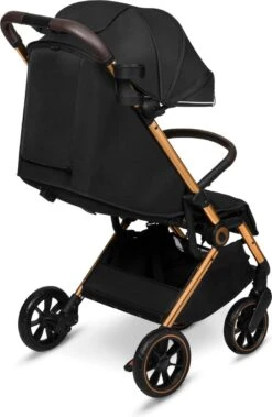 Lionelo Buggy Cloe - Kinderwagen Premium + - Tot 22 Kg - Verstelbare Rugleuning - 5-punts Veiligheidsgordels - Grote Zwenkwielen - Klamboe - Bekerhouder - Lichtgewicht - Compact - Waterdicht 36 Lionelo Buggy Cloe - Kinderwagen Premium + - Tot 22 Kg - Verstelbare Rugleuning - 5-punts Veiligheidsgordels - Grote Zwenkwielen - Klamboe - Bekerhouder - Lichtgewicht - Compact - Waterdicht -Bekend Babyproducten Winkel 782x1200 2