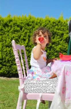 Babyjem Booster Chair Grey -Bekend Babyproducten Winkel 789x1200 3