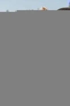 Baby's Only Voetenzak Buggy - Buggyzak Classic - Zand - Geschikt Voor 3-puntsgordel -Bekend Babyproducten Winkel 800x1200 103