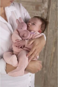 Nijntje - Rammelaar - Pink Baby Rib - 0+ Maanden -Bekend Babyproducten Winkel 810x1200 1