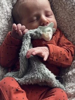 Louka Speendoekje Driehoek Teddy Groen - Teddy Katoen - Speenknuffel - Excl. Bibs Speen -Bekend Babyproducten Winkel 900x1200 38