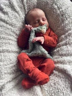 Louka Speendoekje Driehoek Teddy Groen - Teddy Katoen - Speenknuffel - Excl. Bibs Speen -Bekend Babyproducten Winkel 901x1200 6